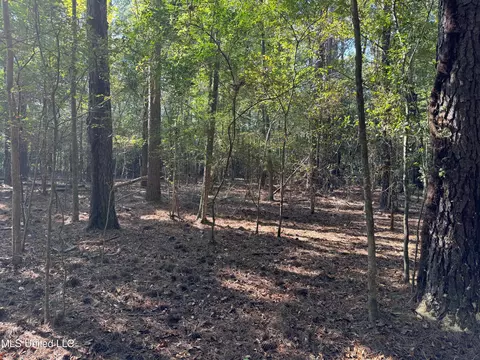 Deerwood Crossing, Canton, MS 39046 photo 4