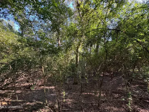 Deerwood Crossing, Canton, MS 39046 photo 5