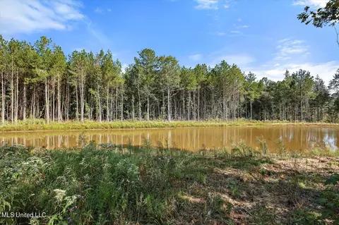 View/Area - 46 Craig Rd, Lena, MS 39094 photo 1 of 1