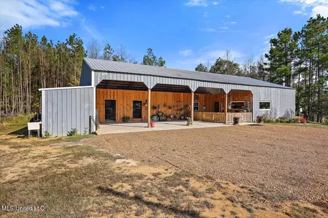 Other - 46 Craig Rd, Lena, MS 39094 photo 2 of 19
