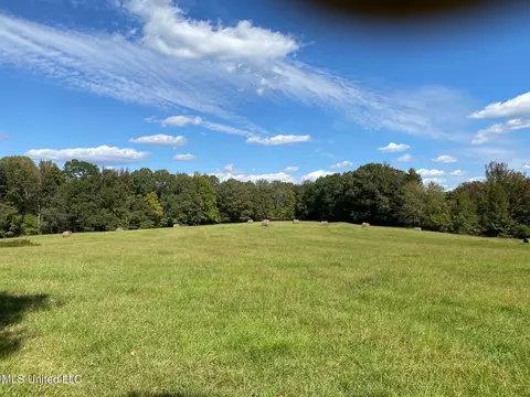 1614 Perry Chapel Rd, Ashland, MS 38603