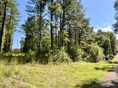 0 Young Ln, Crystal Springs, MS 39059