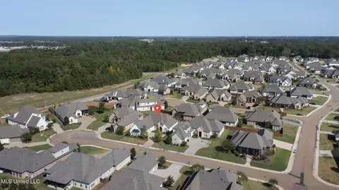 View/Area - 804 Onyx Pl, Flowood, MS 39232 photo 2 of 6