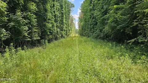 Brown Road, Starkville, MS 39759