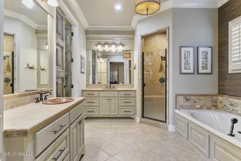 Bath - 816 Aberdeen Cv, Madison, MS 39110 photo 1 of 5