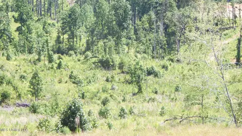 612 Hugh White State Park Rd # A, Grenada, MS 38901 photo 7