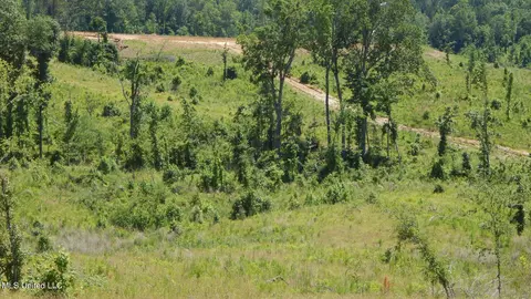 612 Hugh White State Park Rd # A, Grenada, MS 38901 photo 6