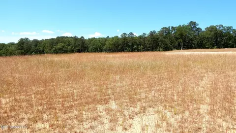 612 Hugh White State Park Rd # A, Grenada, MS 38901 photo 2