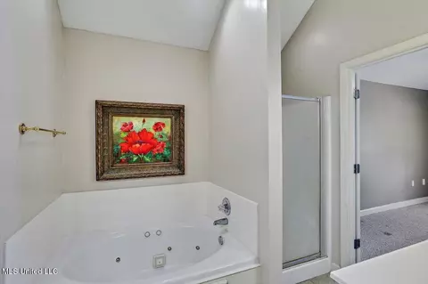 Bath - 151 Armonde Ct, Madison, MS 39110 photo 2 of 3