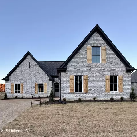 Exterior - 6240 Clover Ct, Walls, MS 38680 photo 3 of 7