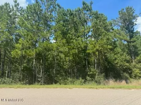 13 Clear Lake Road, Perkinston, MS 39573