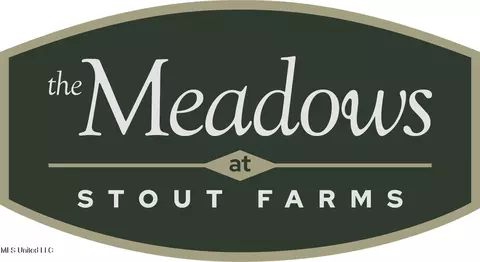 Stout Meadows Lane, Madison, MS 39110 photo 2