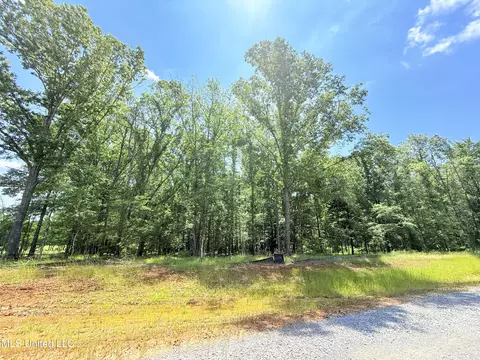 Stout Meadows Lane, Madison, MS 39110