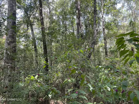 16509 Mcgregor Rd, Vancleave, MS 39565