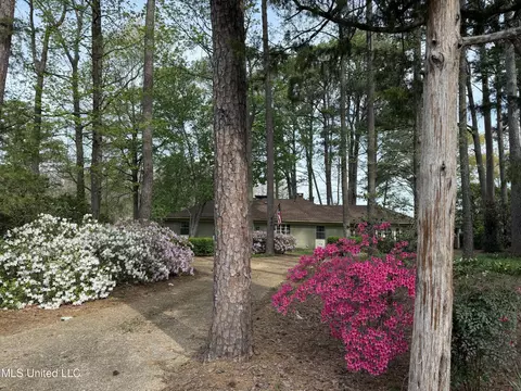 701 Forest Point Dr, Brandon, MS 39047 photo 4
