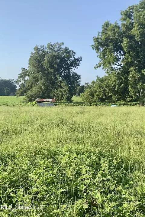 117 Pump Branch Rd, Wiggins, MS 39577