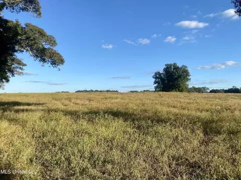 D Sellers Road, Wiggins, MS 39577 photo 3