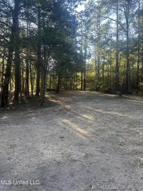 157 Three Prong Rd, Brandon, MS 39047 photo 2