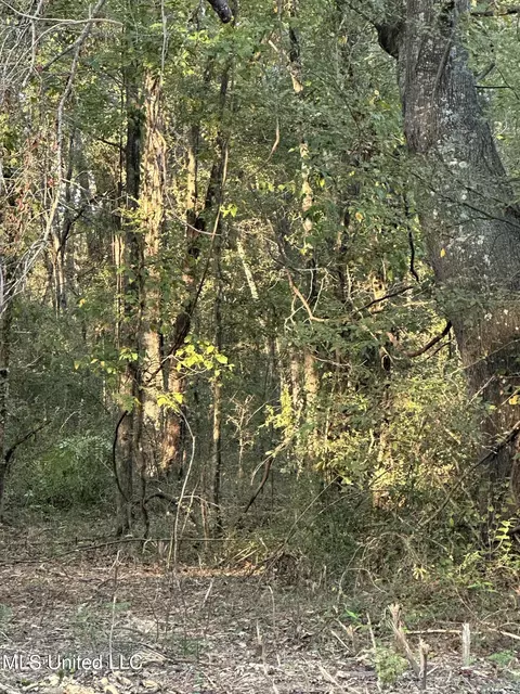 157 Three Prong Rd, Brandon, MS 39047 photo 4