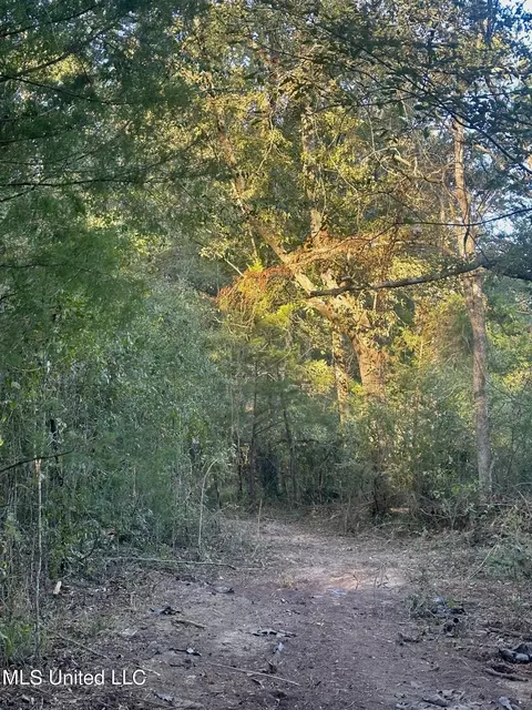 157 Three Prong Rd, Brandon, MS 39047 photo 3