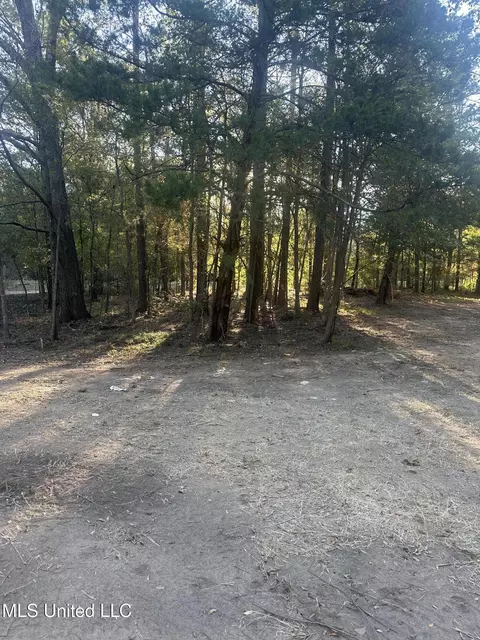157 Three Prong Rd, Brandon, MS 39047 photo 5