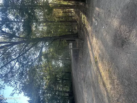 157 Three Prong Rd, Brandon, MS 39047
