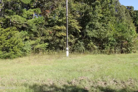 1502 Lower Gurley Rd, Potts Camp, MS 38659 photo 7