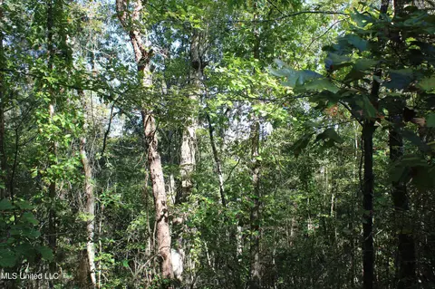 1502 Lower Gurley Rd, Potts Camp, MS 38659 photo 23