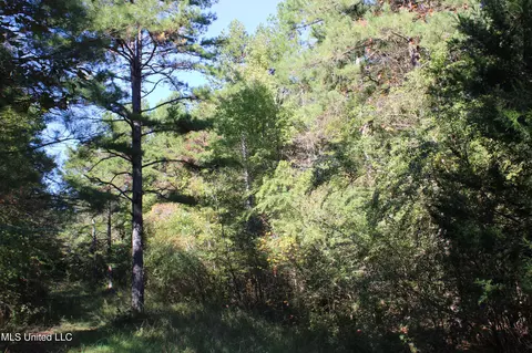 1502 Lower Gurley Rd, Potts Camp, MS 38659 photo 28