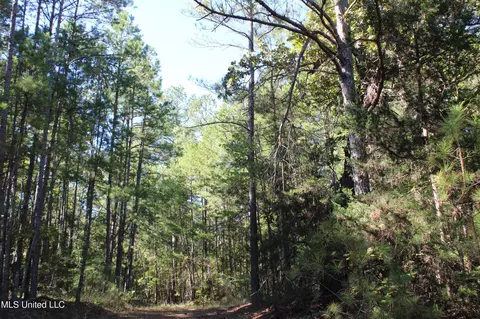 1502 Lower Gurley Rd, Potts Camp, MS 38659 photo 24