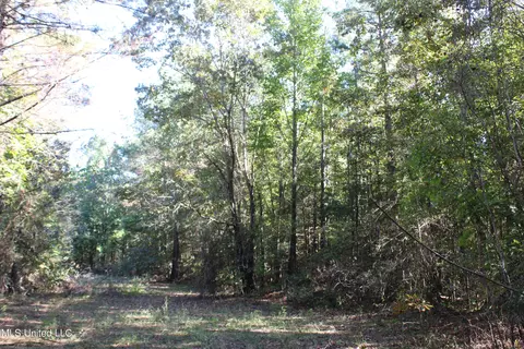 1502 Lower Gurley Rd, Potts Camp, MS 38659 photo 36