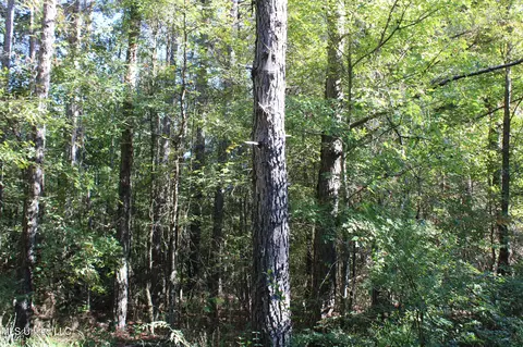 1502 Lower Gurley Rd, Potts Camp, MS 38659 photo 32