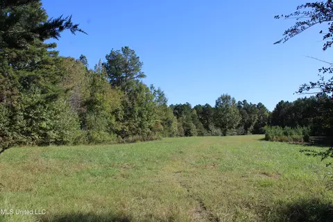 1502 Lower Gurley Rd, Potts Camp, MS 38659 photo 11