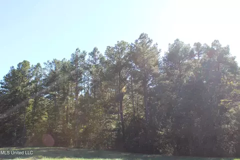 1502 Lower Gurley Rd, Potts Camp, MS 38659 photo 17