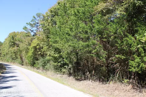 1502 Lower Gurley Rd, Potts Camp, MS 38659 photo 2