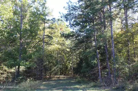 1502 Lower Gurley Rd, Potts Camp, MS 38659 photo 18
