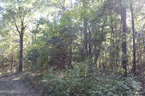 1502 Lower Gurley Rd, Potts Camp, MS 38659