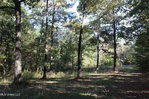 1502 Lower Gurley Rd, Potts Camp, MS 38659 photo 45