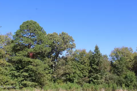 1502 Lower Gurley Rd, Potts Camp, MS 38659 photo 25