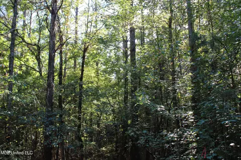 1502 Lower Gurley Rd, Potts Camp, MS 38659 photo 40