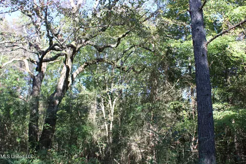 1502 Lower Gurley Rd, Potts Camp, MS 38659 photo 30