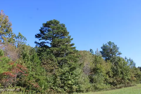 1502 Lower Gurley Rd, Potts Camp, MS 38659 photo 13