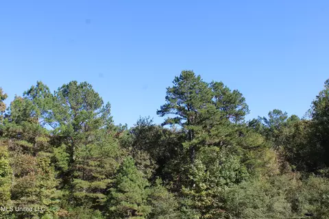 1502 Lower Gurley Rd, Potts Camp, MS 38659 photo 16