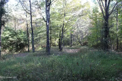 1502 Lower Gurley Rd, Potts Camp, MS 38659 photo 51