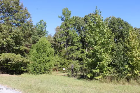 1502 Lower Gurley Rd, Potts Camp, MS 38659 photo 5