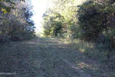 1502 Lower Gurley Rd, Potts Camp, MS 38659 photo 48