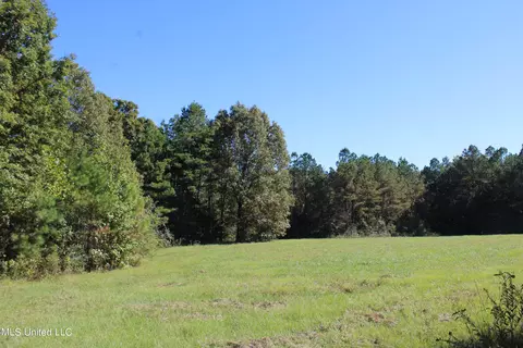 1502 Lower Gurley Rd, Potts Camp, MS 38659 photo 6