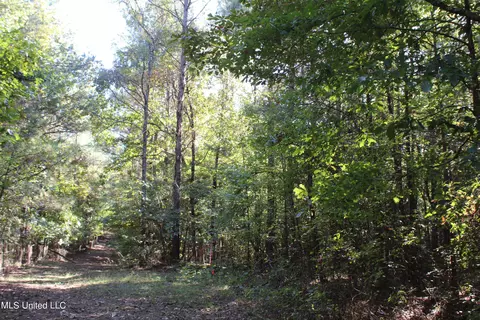 1502 Lower Gurley Rd, Potts Camp, MS 38659 photo 38