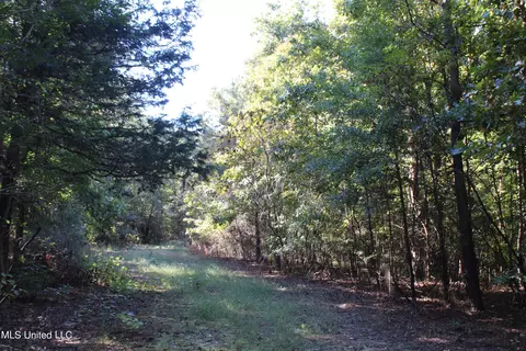 1502 Lower Gurley Rd, Potts Camp, MS 38659 photo 39