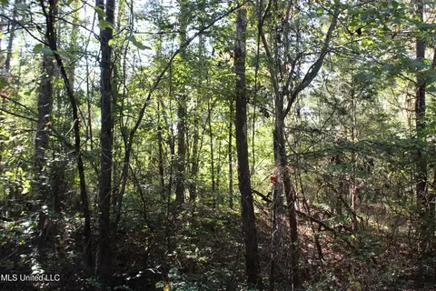 1502 Lower Gurley Rd, Potts Camp, MS 38659 photo 34